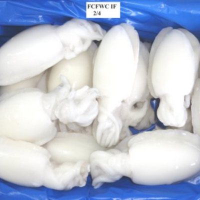 Cuttle Fish Whole Cleaned