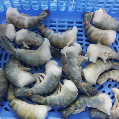 EZE PEEL Fresh Water Prawn