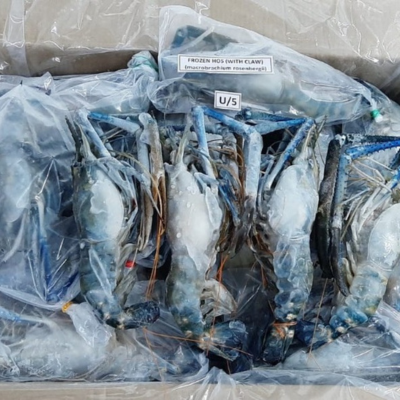 FROZEN HOSO Fresh Water Prawn