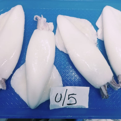 SQUID Whole Cleaned